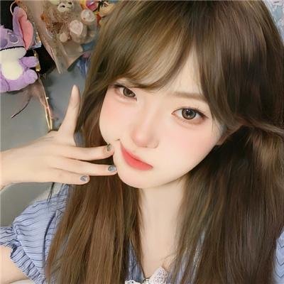 动物宝宝